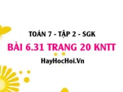 Bài 6.31 trang 20 Toán 7 Tập 2 Kết nối tri thức